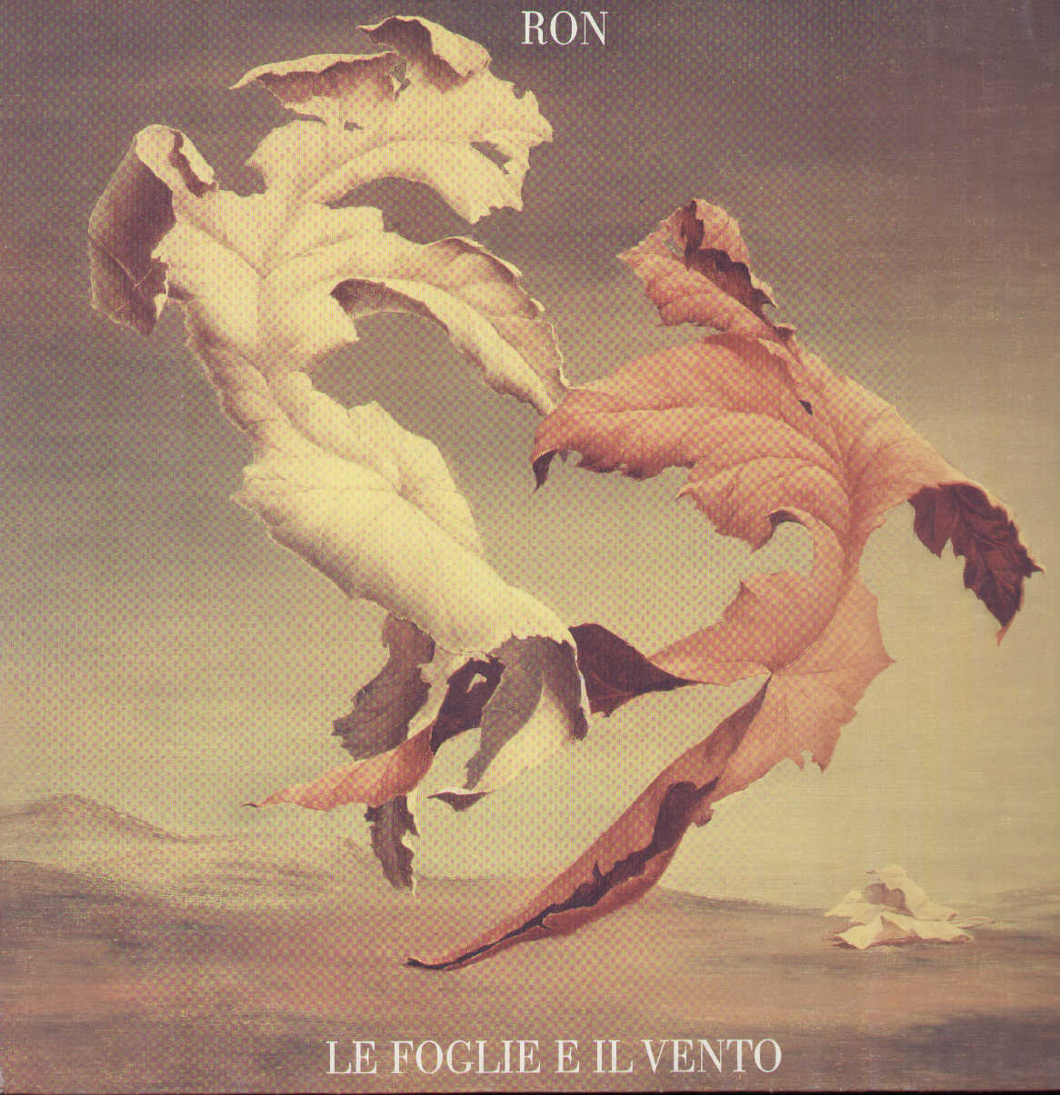Le Foglie E Il Vento