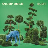 Bush