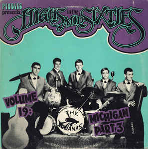 Highs In The Mid Sixties Volume 19 Michigan Part.3