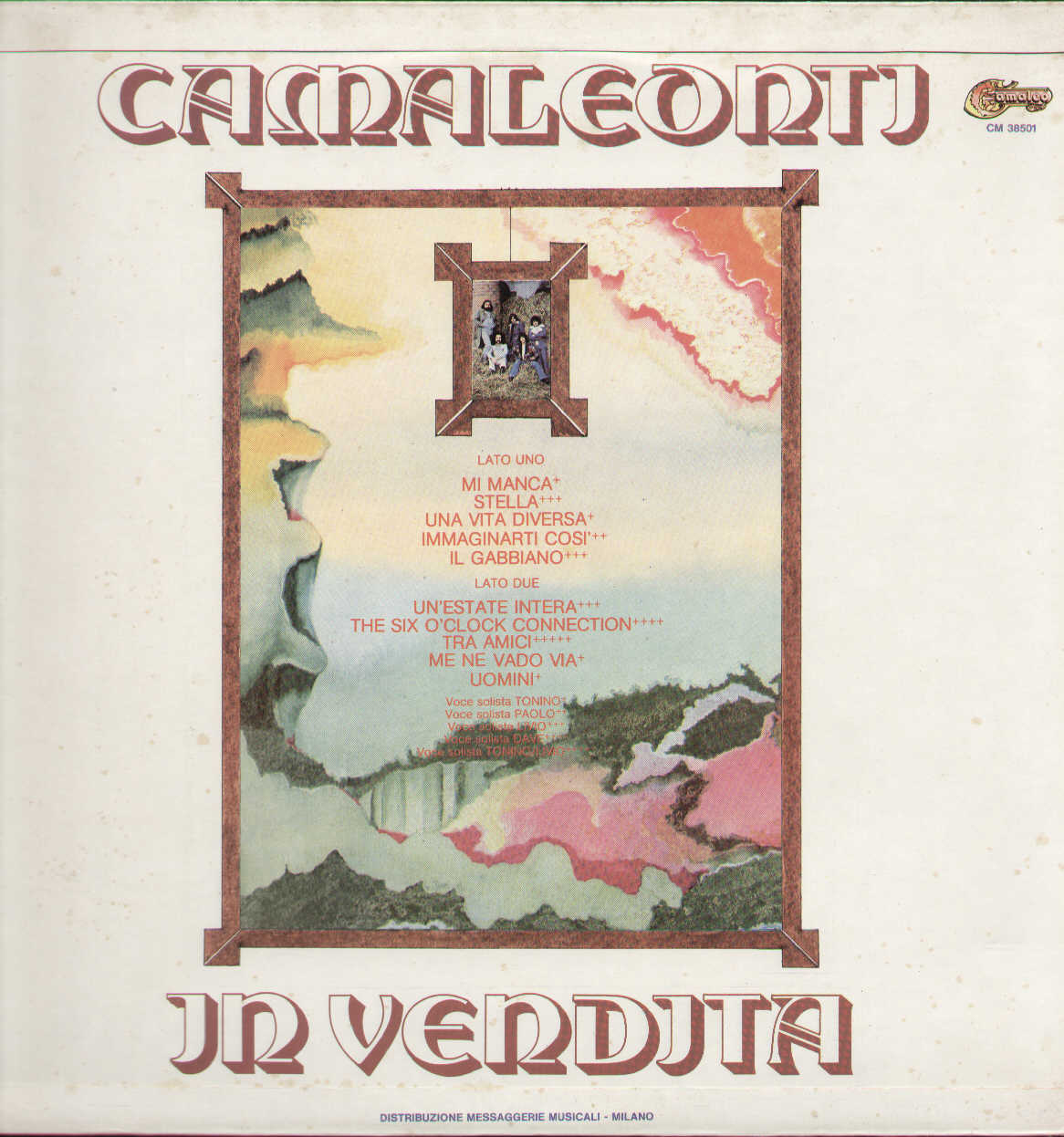 Camaleonti In Vendita