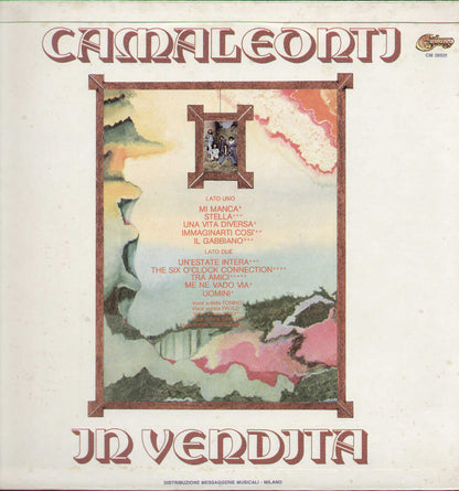 Camaleonti In Vendita
