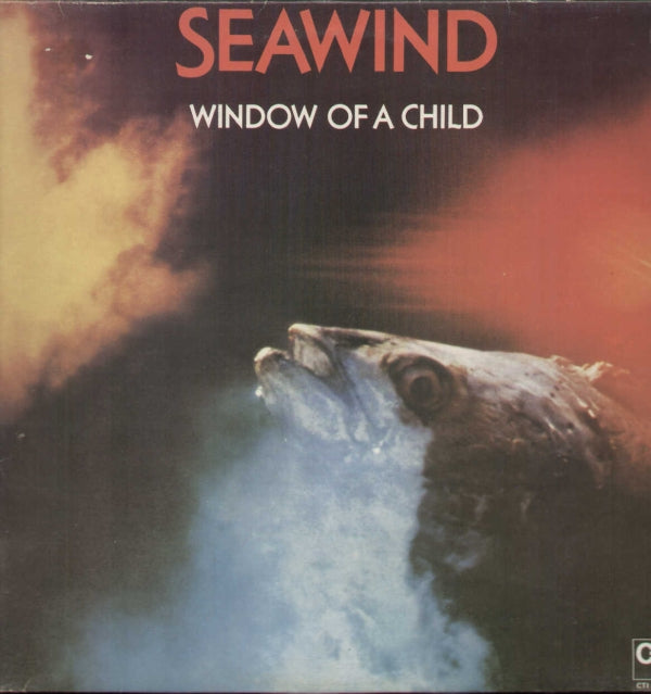 Window Of A Child