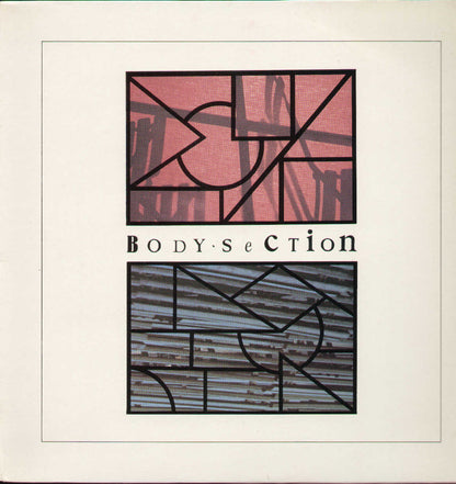 Body Section
