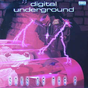 Sons Of The P