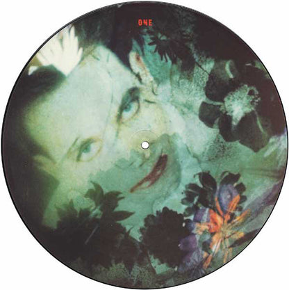 Disintegration Picture Disc Limited Edition