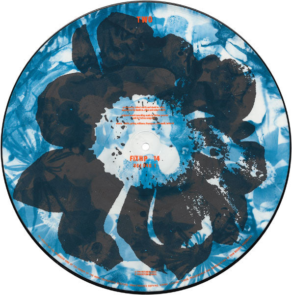 Disintegration Picture Disc Limited Edition