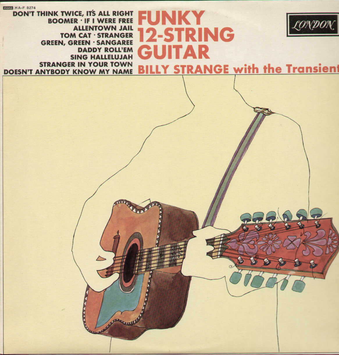 Funky 12 String Guitar