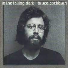In The Falling Dark