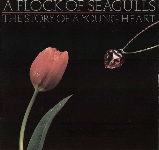 The Story Of A Young Heart