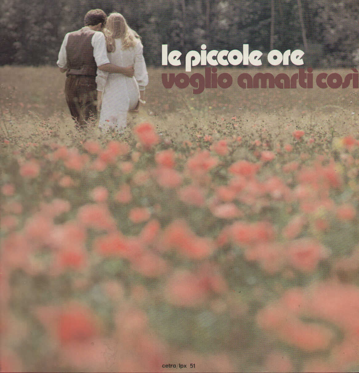 Voglio Amarti Cosi
