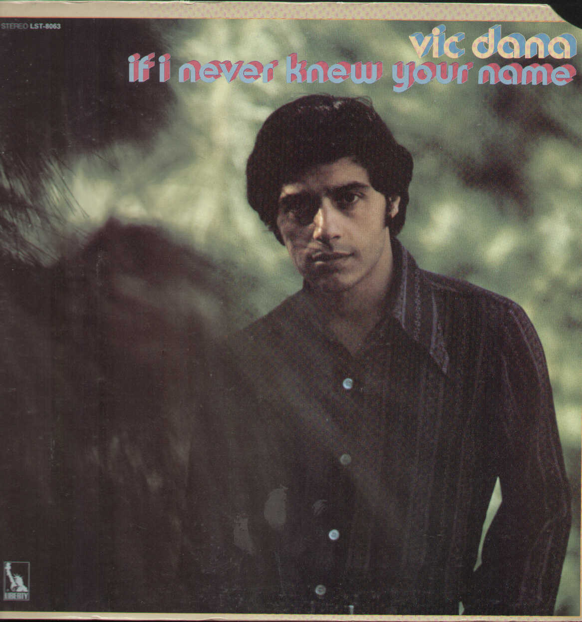 If I Never Knew Your Name