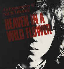 Heaven In A Wild Flower An Exploration Of Nick Drake