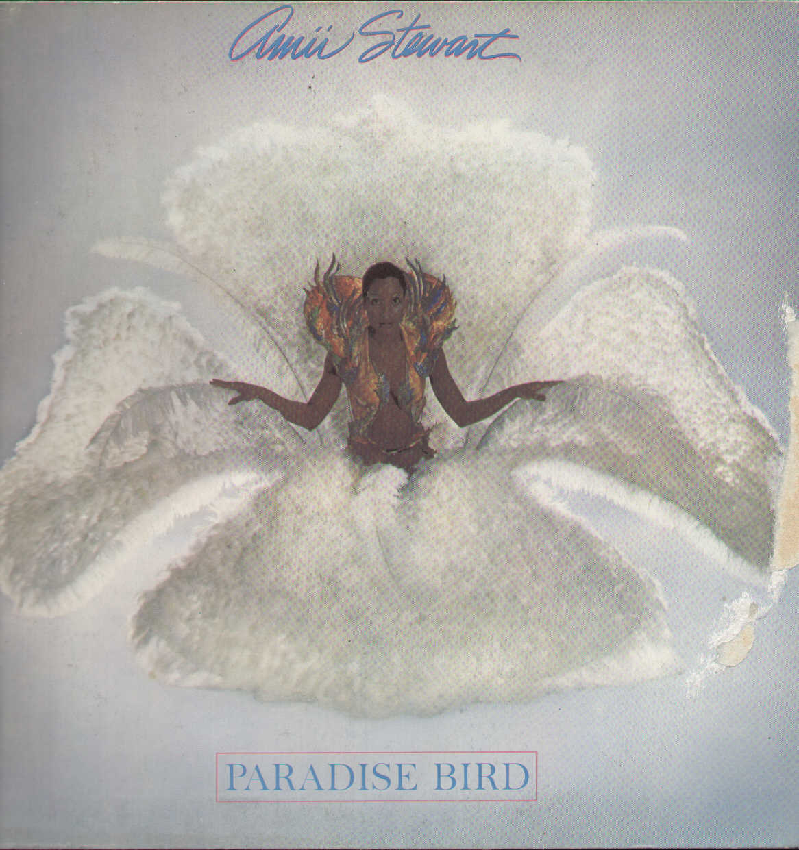 Paradise Bird