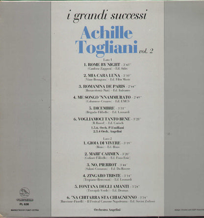 I Grandi Successi Vol.2