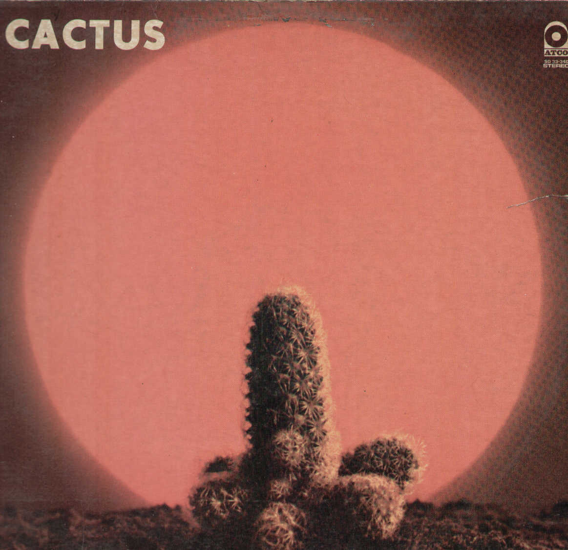 Cactus
