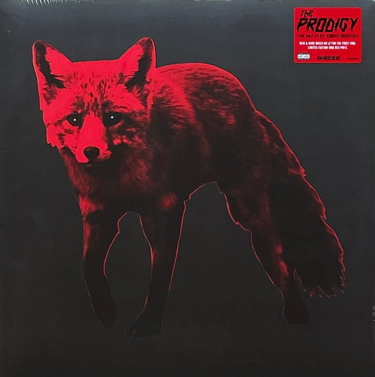 The Day Is My Enemy Remixes LIMITED EDITION