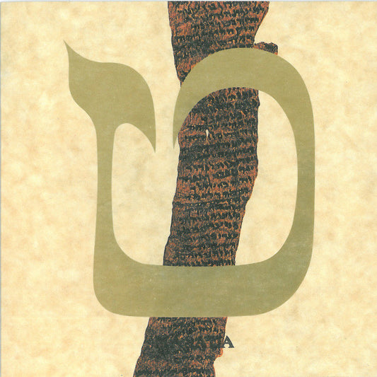Masada – Tet japan