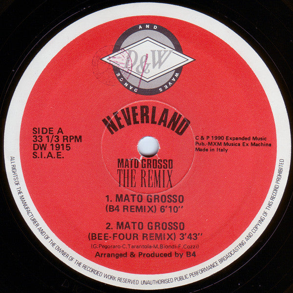 Neverland The Remix
