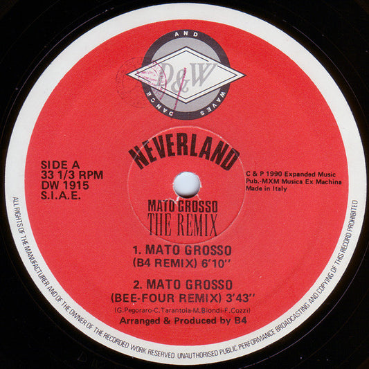 Neverland The Remix