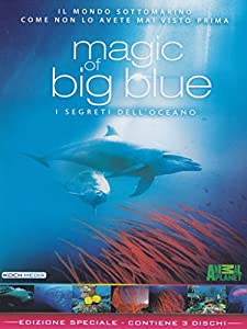 The Magic of the Big Blue - I Segreti dell'Oceano 3Dvd