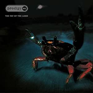 The Fat Of The Land LIMITED EDITION  25Th Anniversary