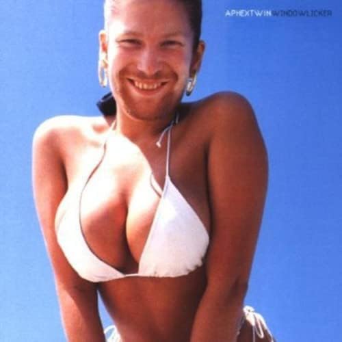 Windowlicker