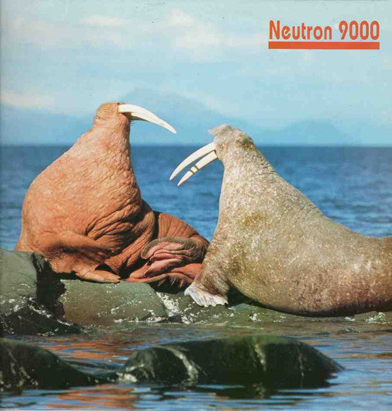 Walrus