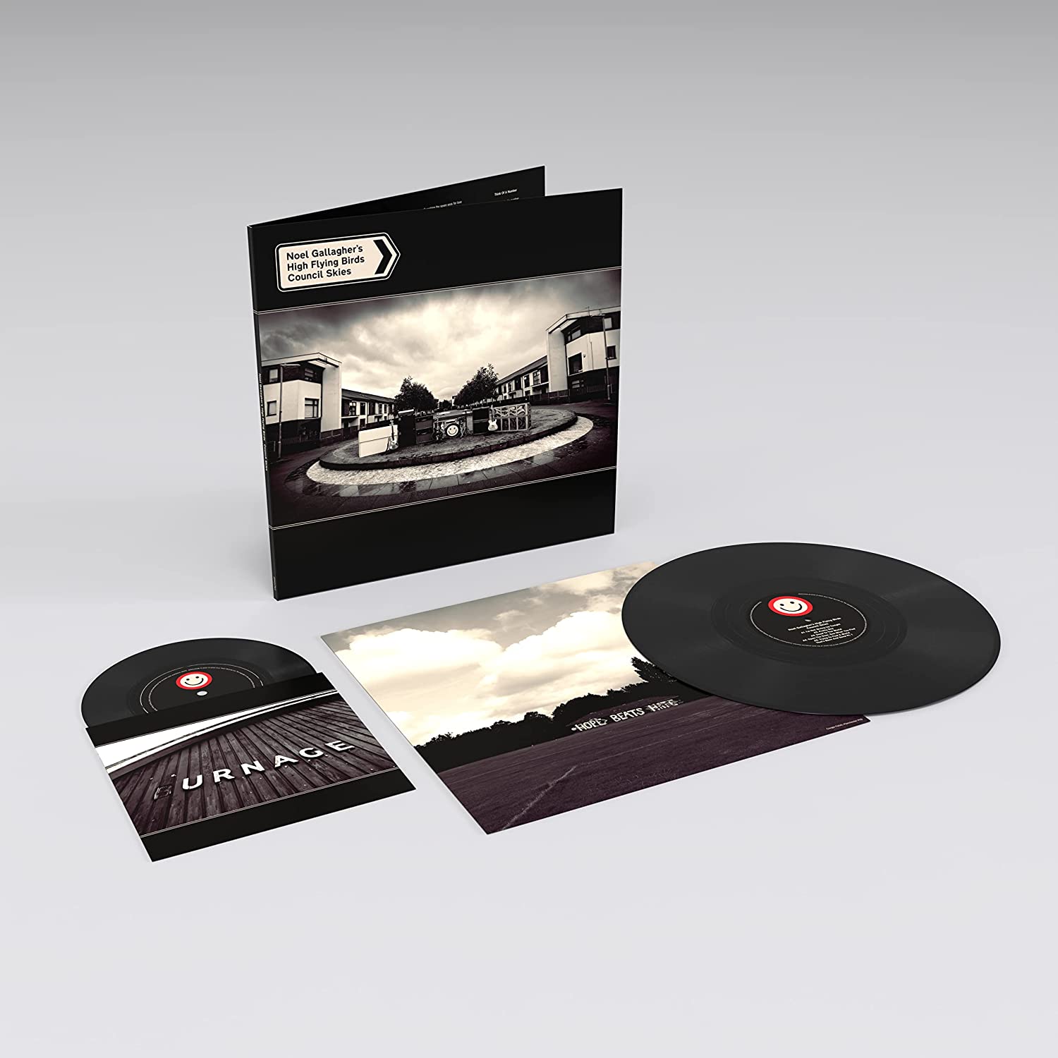Council Skies lp+45