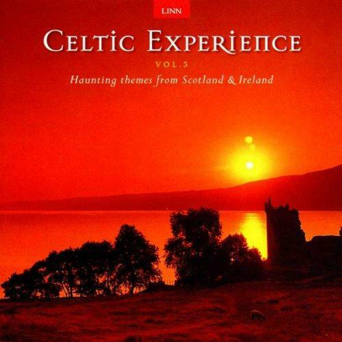 Celtic Experience Vol.3